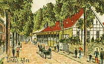 Blick in die alte Lindenallee, heute Münsterstr., rechts Krusemeyer