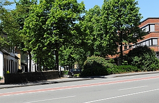 Blick in die Alte Münsterstraße zum Rathaus - 2017