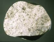 Meteorit Ibbenbüren im Museum für Naturkunde Berlin, Dr. A. Greshake