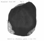 Meteorit von Ibbenbüren Fig. 2