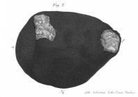 Meteorit von Ibbenbüren Fig. 1