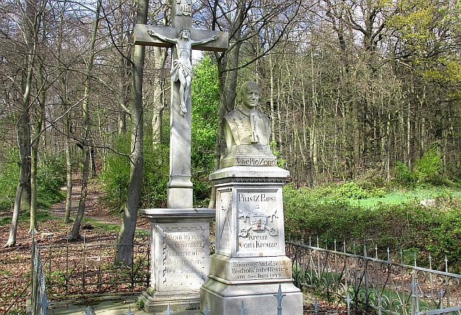 Das Pius-Denkmal auf dem Dickenberg - Foto Werner Suer