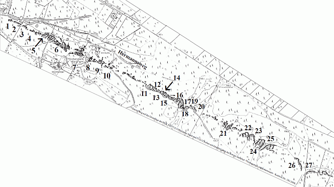 Abb. 12: Der Felszug der Dörenther Klippen bei Ibbenbüren-Dörenthe aus den DGK Dörenthe-Nord und Lehen. Die historischen Namen der einzelnen Felsen der Dörenther Klippen sind von dem Fledermausschützer Werner Suer versucht worden zu rekonstruieren.