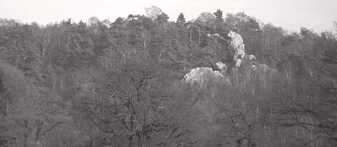 Abb. 13: Aus der Felsenkette der Dörenther Klippen bei Ibbenbüren-Dörenthe ragt eine bekannte Felsgruppe heraus, das Hockende Weib. (Foto: Werner Suer)
