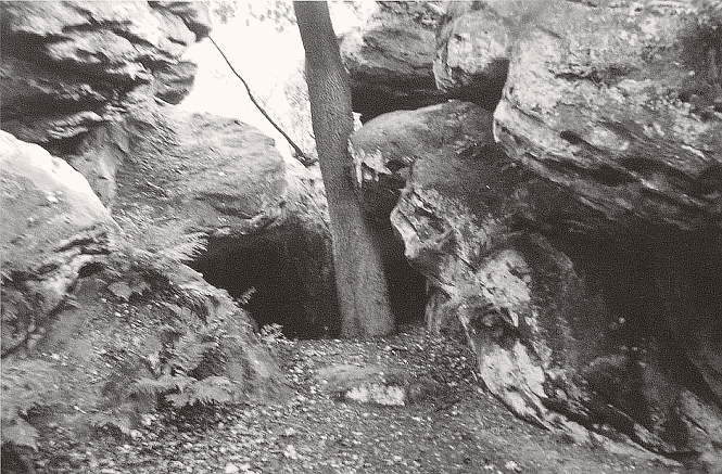 Abb. 18: Blick von Süden in die Eulenschlucht. Rechts vom Baum beginnt der überdeckte Höhlendurchgang mit zwei Deckenfenstern. Links vom Baum ist der kleinere Abri und vor dem Felsen rechts vorn liegt der größere Abri mit zwei verschieden langen Höhlenfortsetzungen. (Foto: Werner Suer)
