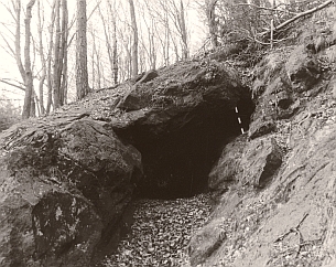 Abb. 26: Eingang der Fledermaushöhle