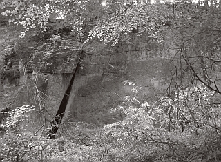 Abb. 31: Bocketalspalte I in einem alten Steinbruch bei Brochterbeck. Die Sandsteinkluft ist an ihrem Eingang etwa acht Meter hoch. (Foto: Werner Suer)