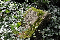 Alter Friedhof 