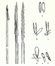 Zeichnerische Rekonstruktionen von Pfeilen und einer Harpune mit eingesetzten 'Mikrolithen' (Aus M. M. Rind, Kanalarchäologie S. 25, Abb. 8)